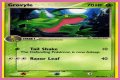 Grovyle (EX Emerald 28) - Bulbapedia, the community-driven Pokémon encyclopedia