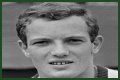 Tom Okker (Tennis Player) - Age, Birthday, Bio, Facts, Family, Net Worth, Height & More