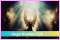 
ANGEL NUMBER 206
