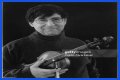 David Shapiro (musician)