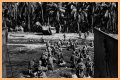 WWII's Most Daring Raids - Smithsonian Channel